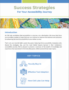 Success Strategies for Your Accessibility Journey White paper preview
