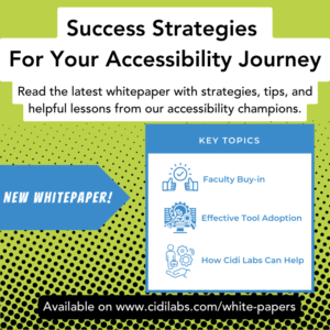 Flyer for the whitepaper on success strategies for accessibility