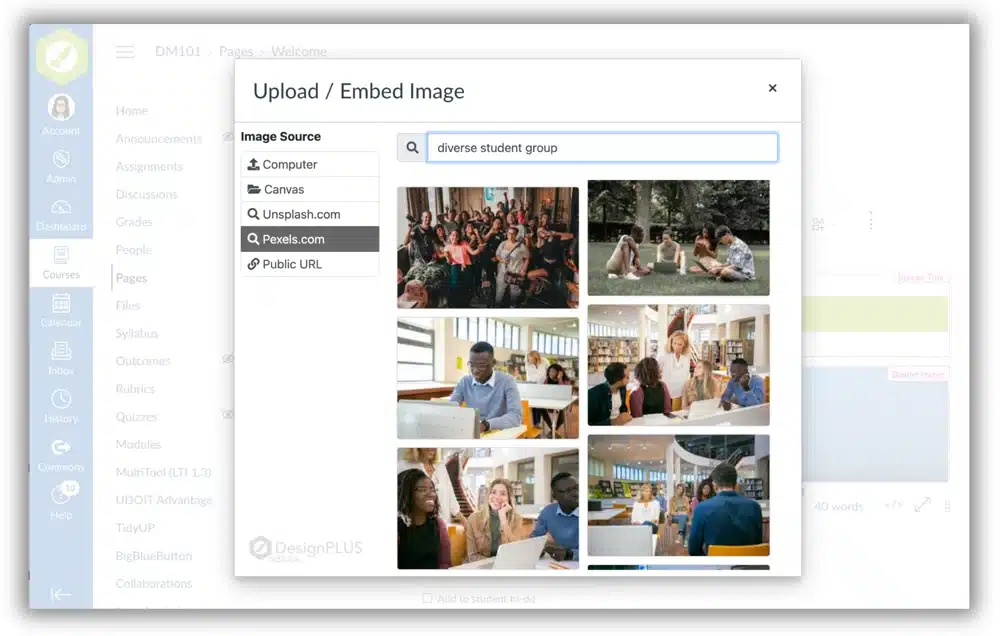 DesignPLUS image tool searching for images of diverse student groups