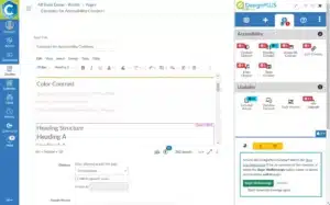 DesignPLUS Sidebar next to the Canvas Editor flagging accessibility issues